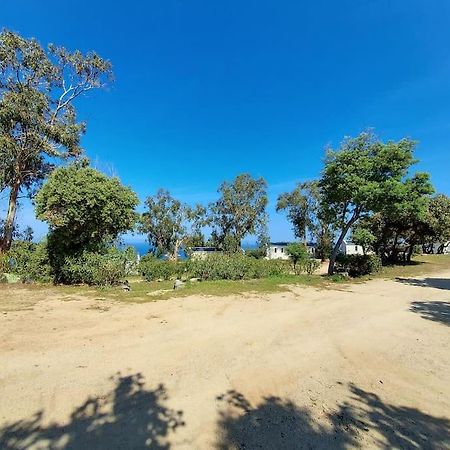 Calvi Mobil-Home Neuf Particulier Sur Camping Lumio  Exteriér fotografie