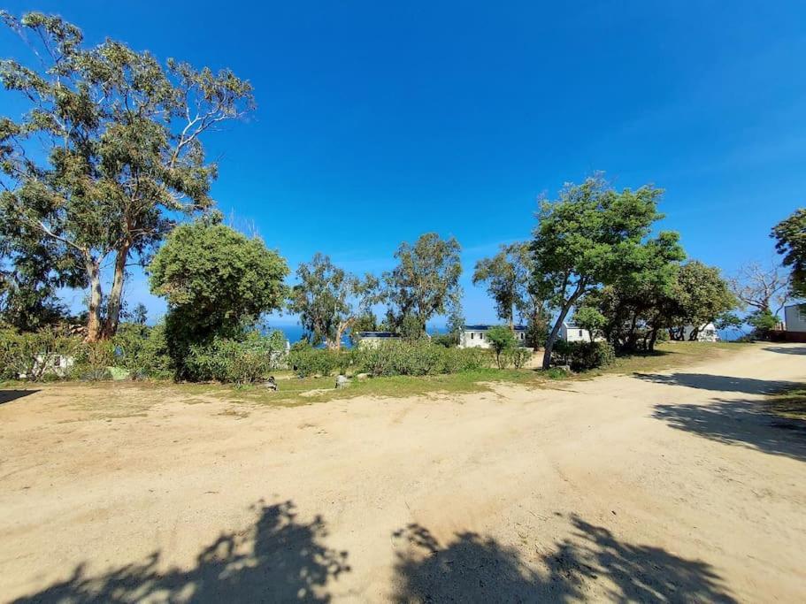 Calvi Mobil-Home Neuf Particulier Sur Camping Lumio  Exteriér fotografie